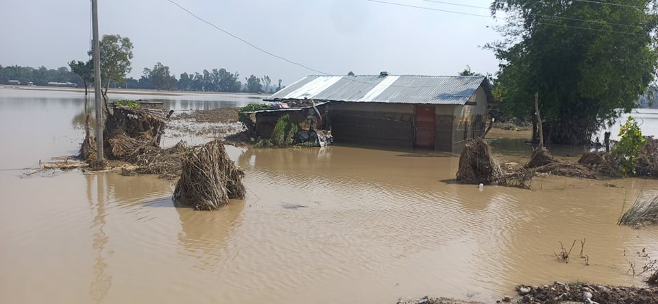 अविरल वर्षाका कारण तटीय बस्ती डुबानमा