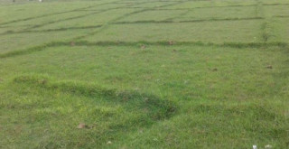 आजदेखि काभ्रेमा जग्गाको कित्ताकाट