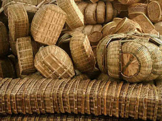 विदेशबाट फर्किएका क्षेत्रीले स्वदेशमै मनग्य आम्दानी
