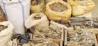 यी ५ आयुर्वेदिक जडीबुटी, जसले तपाईलाई रोगबाट टाढा राख्छ