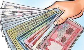शहीद परिवारलाई मासिक भत्ता