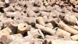 शितलहरका कारण चिसोबाट बच्न मुढा वितरण