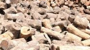 शितलहरका कारण चिसोबाट बच्न मुढा वितरण