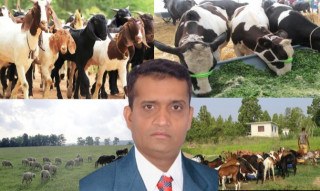 पशुपालन व्यावसायीले जान्नैपर्ने कुरा