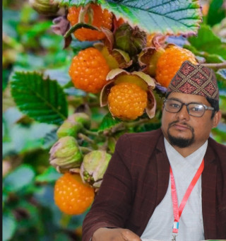आहा ऐसेलु, कति मिठो र रसिलो