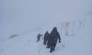 यार्सा टिप्न हिँडेका जुम्लाका ३ व्यक्ति बेपत्ता