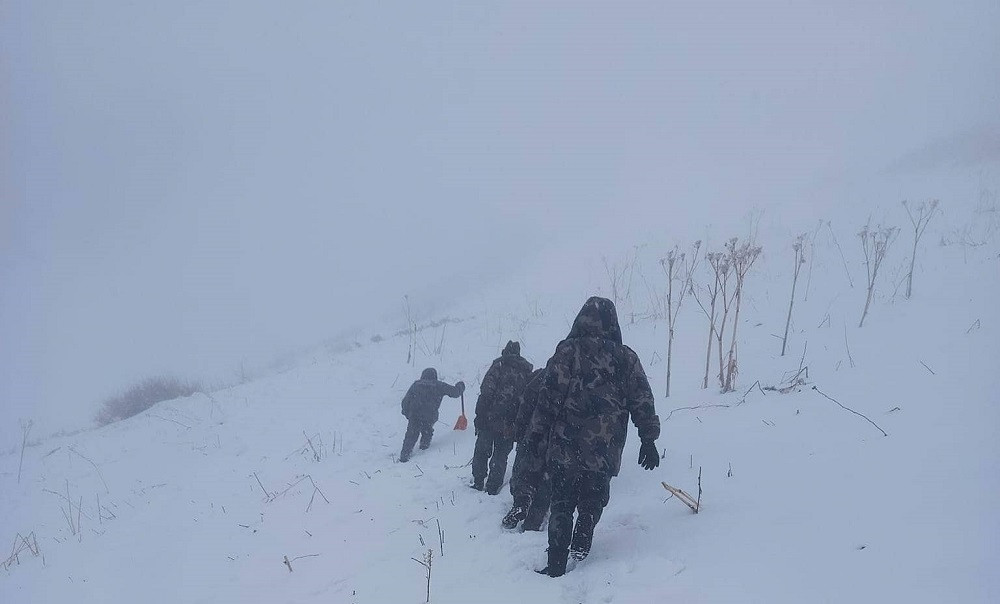 यार्सा टिप्न हिँडेका जुम्लाका ३ व्यक्ति बेपत्ता