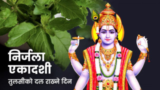 आज निर्जला एकादशी, घर घरमा तुलसीको दल राखिँदै