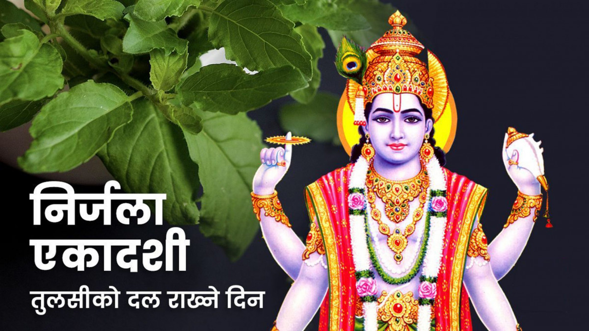 आज निर्जला एकादशी, घर घरमा तुलसीको दल राखिँदै