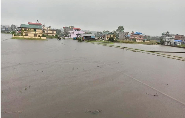 पश्चिम चितवनमा बाढीको जोखिम घट्दै