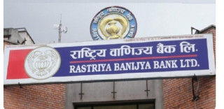 राष्ट्रिय वाणिज्य बैंकका देशका विभिन्न स्थानमा ११ शाखा कार्यालय विस्तार