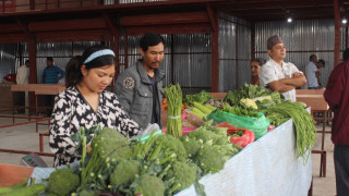 इमाडोल टिकाथलीमा भाजु तरकारी तथा फलफूल बजार संचालनमा