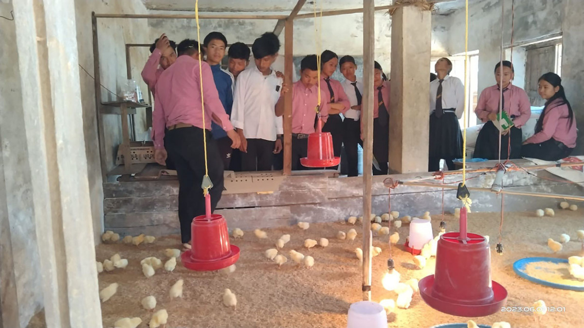 सीपसँग जोड्दै विद्यार्थीलाई  ‘पढ्दै कमाउँदै’ कार्यक्रम
