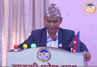 सांसद कार्कीद्वारा लम्पिस्किन भाइरस बिरुद्ध सार्बजनिक महत्त्वको प्रस्ताव दर्ता