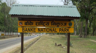 विकासमा फड्को मार्दै बाँके राष्ट्रिय निकुञ्जः २४सै घन्टा सेनाको गस्ती