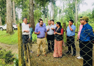 निकुञ्जमा सडक निर्माण गर्न ‘डिपिआर’ र ‘इआइए’