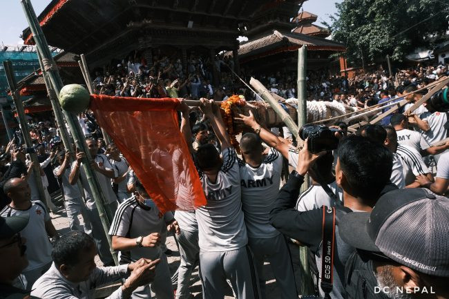बसन्तपुरमा लिंगो ठड्याइयो, इन्द्रजात्रा सुरु