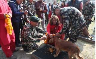 नेपाली सेनाका तालिम प्राप्त कुकुरको तिहार