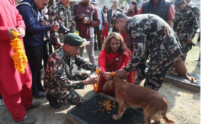 नेपाली सेनाका तालिम प्राप्त कुकुरको तिहार