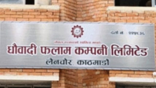 फलाम खानी उत्पादनका लागि प्रारम्भिक वातावरणीय परीक्षण कार्य सम्पन्न : कार्यकारी निर्देशक डा. चन्द