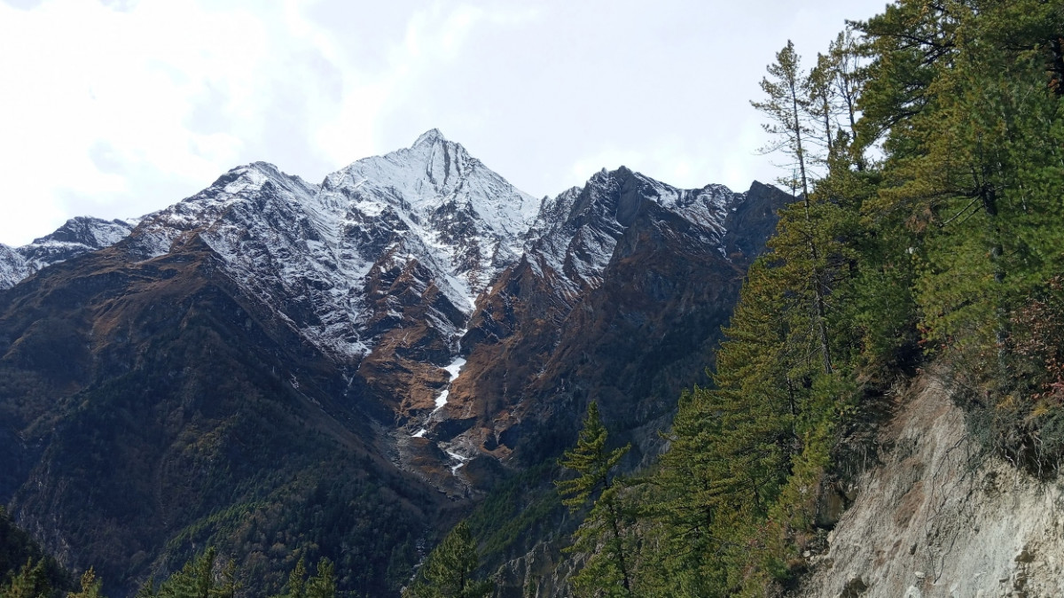 पुसमै फुल्यो लालीगुराँस, सेताम्ये देखिने हिमालमा कालापत्थर देखियो