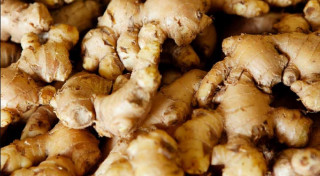 खानुहोस् खाली पेटमा अदुवाको जुस, फाइदै फाइदा