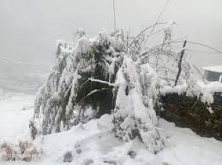 हिउँ परेपछि रुकुम पूर्वसित जोडिएको मध्यपहाडी लोकमार्ग अवरुद्ध