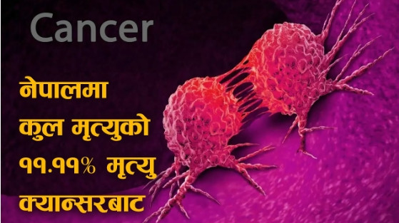 नेपालमा क्यान्सरबाट ११.११ प्रतिशत मृत्यु