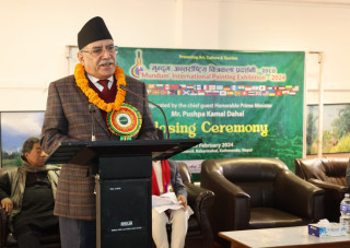 चित्रकलाले अन्तर्राष्ट्रिय एकतालाई प्रवद्र्धन गरेको छ : प्रधानमन्त्री प्रचण्ड