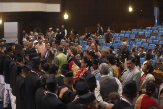 राजनीतिक दल सम्बन्धी दोस्रो संशोधन विधेयक फिर्ता, एक मतको अपमान