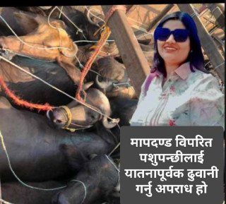 मापदण्ड विपरित पशुपन्छीलाई यातनापूर्वक ढुवानी गर्नु अपराध हो