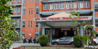 दरबन्दी यकिन गर्न माग गर्दै कृषि मन्त्रालयमा कर्मचारीको धर्ना