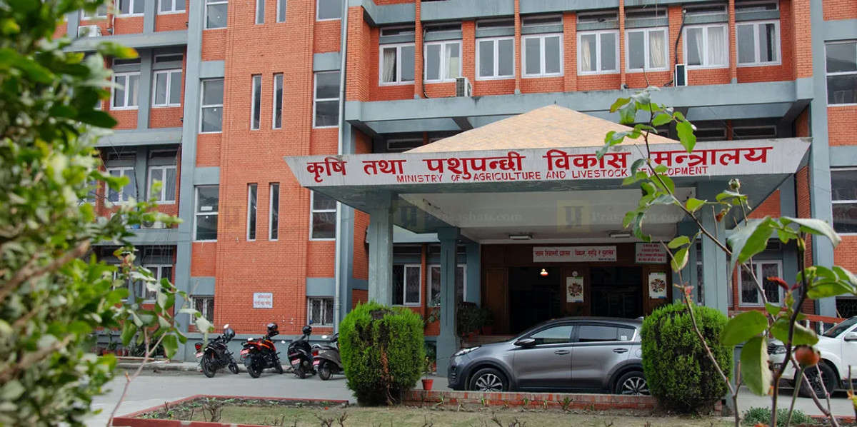 दरबन्दी यकिन गर्न माग गर्दै कृषि मन्त्रालयमा कर्मचारीको धर्ना
