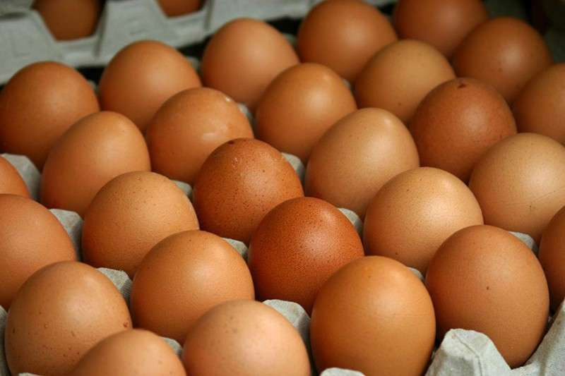लामो समयपछि किसानले पाए अण्डाको लागत मूल्य