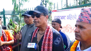 देवी प्रतिभासहित कलाकारले पशुपति क्षेत्रमा गरे बृक्षारोपण