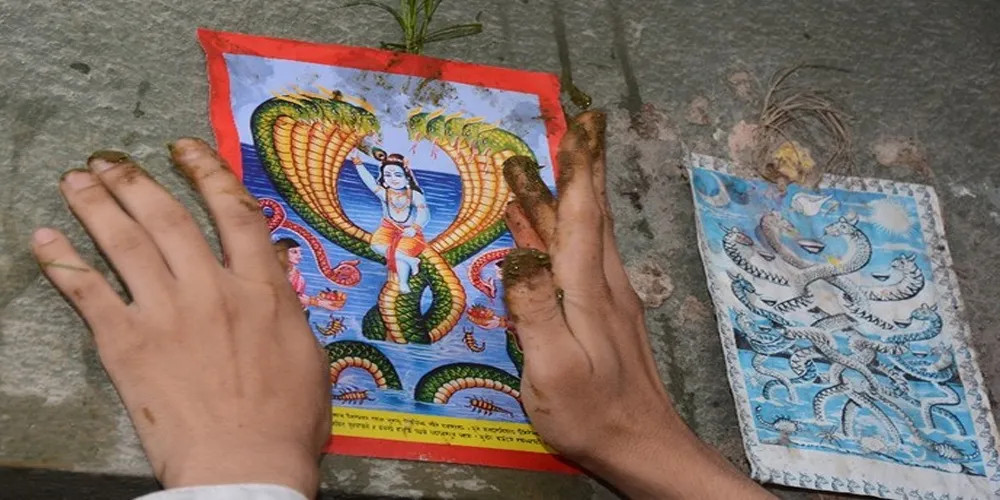 परम्परा अनुसार घरका मूलढोकामा नागको तस्बिर टाँसी पूजार्चना गरी नागपञ्चमी पर्व मनाइँदै