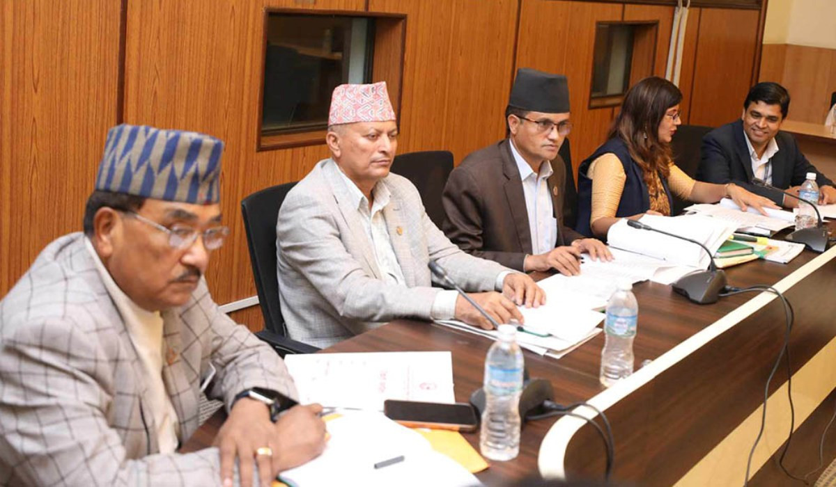 सहकारी छानबिन संसदीय विशेष समितिको प्रतिवेदन सार्वजनिक (हेर्नुहोस् पूर्णपाठ)