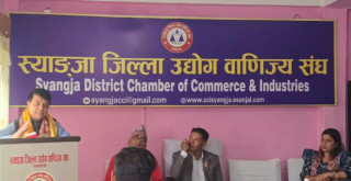 स्याङजाको सुन्तला र पर्यटन प्रवर्धनसम्बन्धी सम्भाव्य कार्यक्रम बने सहकार्य गर्ने अध्यक्ष ढकालको प्रतिबद्धता