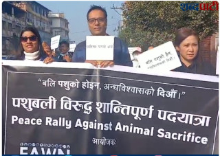 पशु कल्याण संघ नेपालद्वारा पशुबलीविरुद्ध काठमाडौंमा शान्तिपूर्ण र्याली