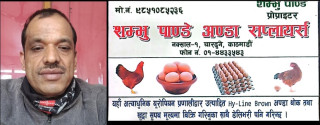 अण्डा व्यवसायमा २६ वर्ष: शम्भु पाण्डेको प्रेरणादायक यात्रा