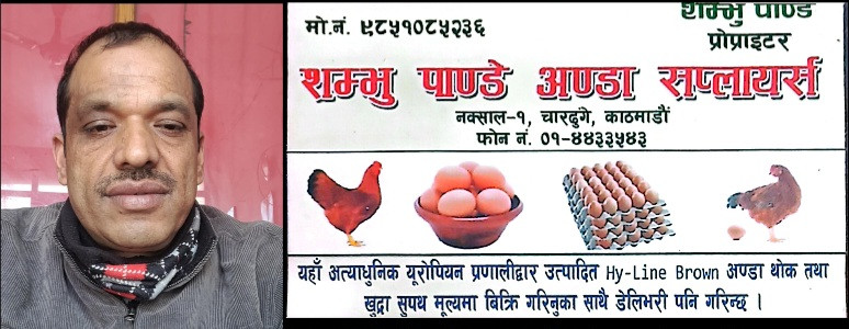 अण्डा व्यवसायमा २६ वर्ष: शम्भु पाण्डेको प्रेरणादायक यात्रा