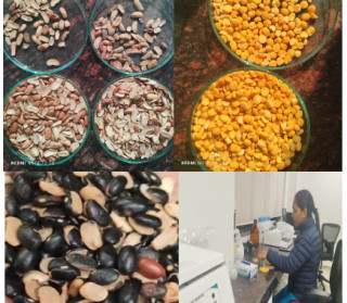 न्यूनस्तरका चना र राजमाको दाल आयात रोक्का