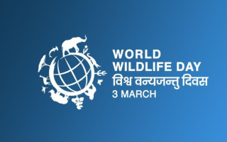 वन्यजन्तु संरक्षणमा जोड दिँदै विश्वभर आज विश्व वन्यजन्तु दिवस मनाइँदै