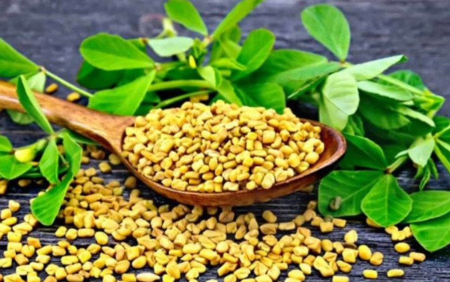 बिहान खाली पेट मेथीपानी स्वास्थ्यका लागि निकै लाभदायक