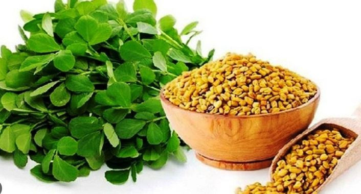 नासाले अन्तरिक्षमा मुगु र मेथी उत्पादन गर्दै