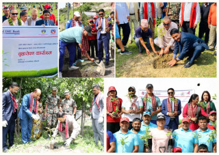 ग्लोबल आइएमई बैंकद्वारा विश्व वातावरण दिवसको अवसरमा देश व्यापीरुपमा वृहत् बृक्षारोपण कार्यक्रम आयोजना