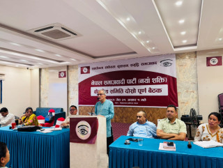 नेसपा(नयाँ शक्ति) को बैठकमा ६६ जना केन्द्रीय सदस्यले राखे आफ्नो धारणा