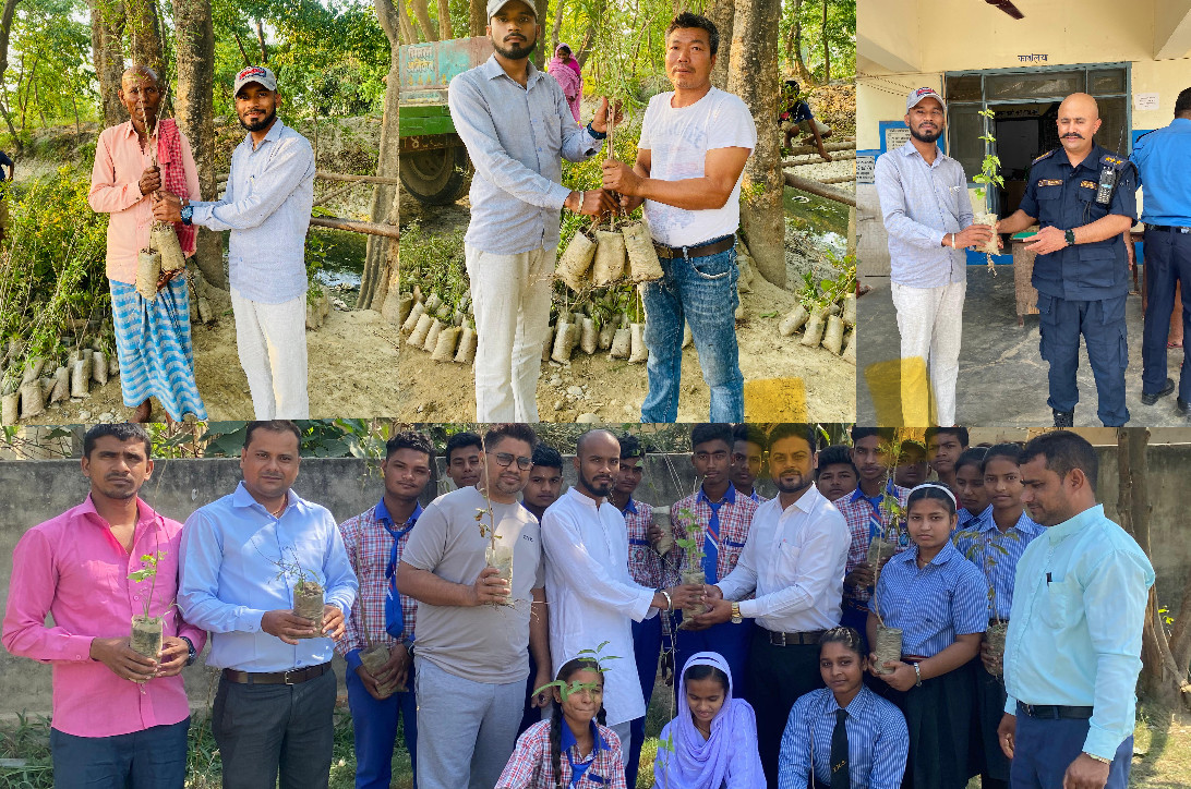 तबरेज आलमको हरियाली सपना: मधेस प्रदेशका सडक किनारहरू सजाउँदै नयाँ जीवन