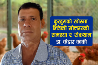 कुखुराको खोरमा भिजेको सोत्तरको समस्याः कारण र रोकथाम
