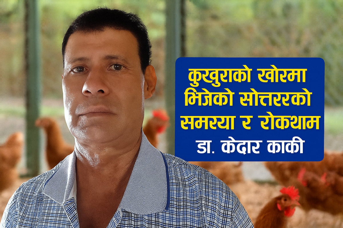 कुखुराको खोरमा भिजेको सोत्तरको समस्याः कारण र रोकथाम